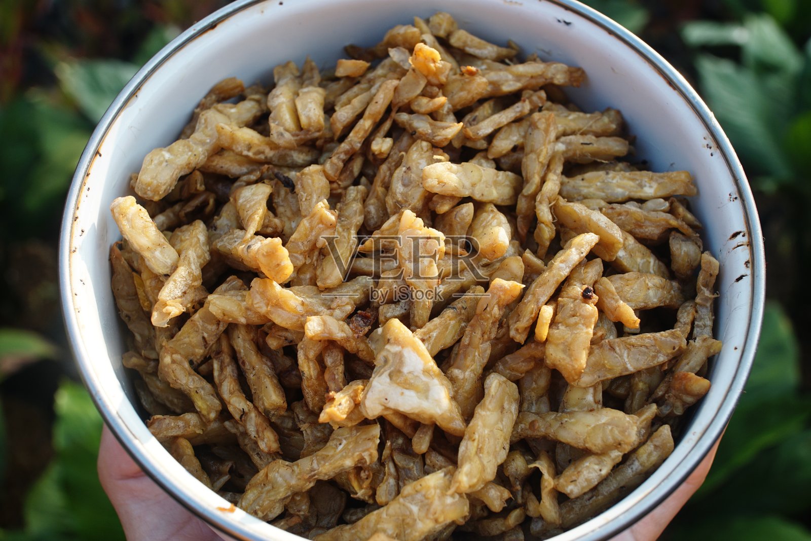 炸后的豆豉丝滑，准备做Sambel kering豆豉，麻辣微甜照片摄影图片