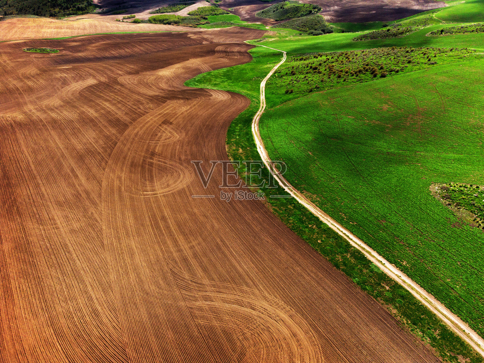 从无人机鸟瞰图的农场的作物绿色生长与犁沟犁照片摄影图片