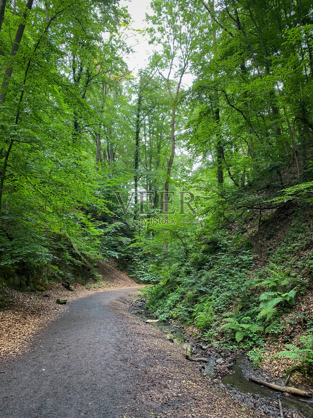 德国西本格伯奇山脉的徒步旅行路线照片摄影图片