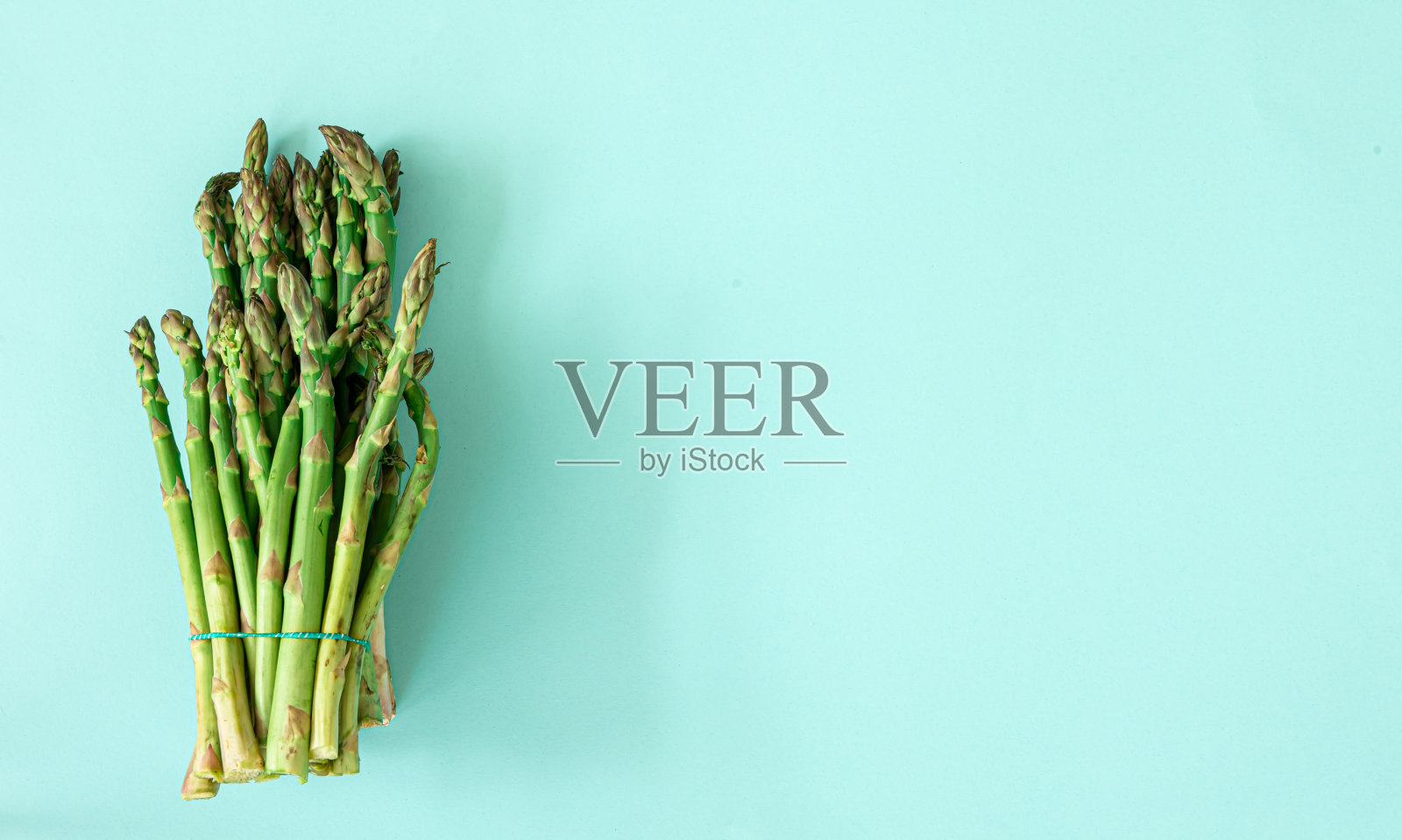 新鲜芦笋种植在蓝色背景，平铺。照片摄影图片