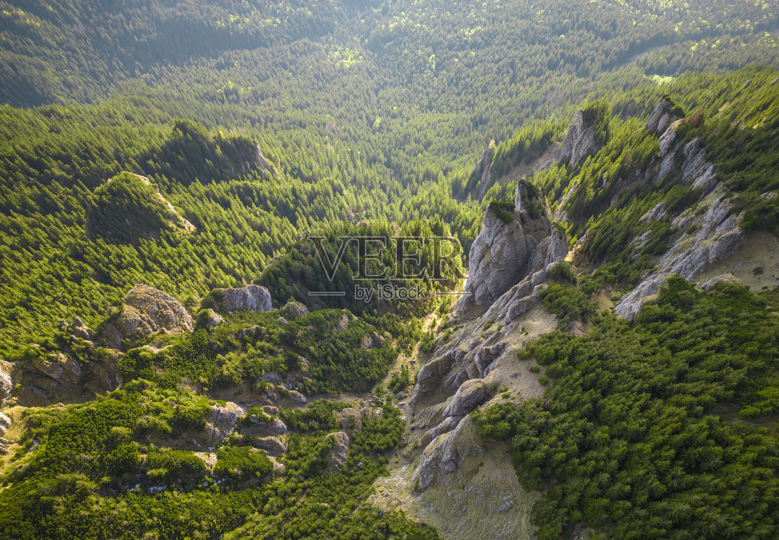 山景中的大石。罗马尼亚喀尔巴阡山脉的狂野景象照片摄影图片