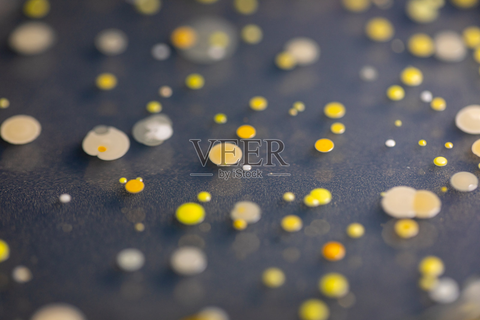 微生物实验室培养土壤样品琼脂平板上生长的细菌和霉菌的特性和不同形状菌落的背景。照片摄影图片