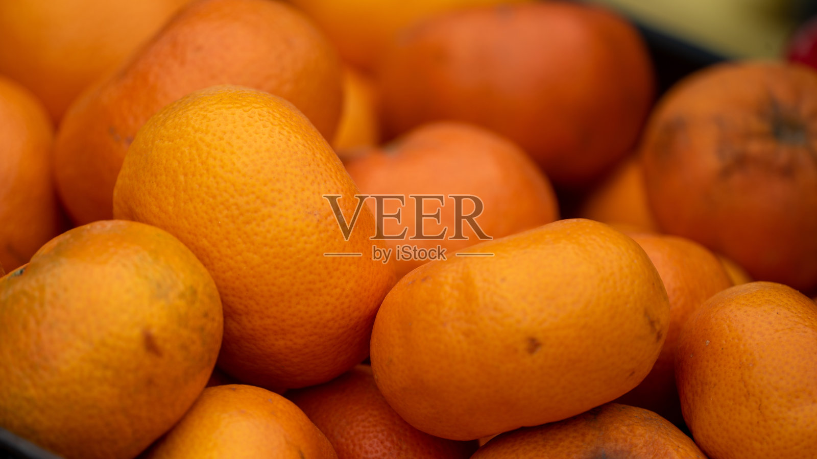 蔬菜和水果的新鲜成分照片摄影图片