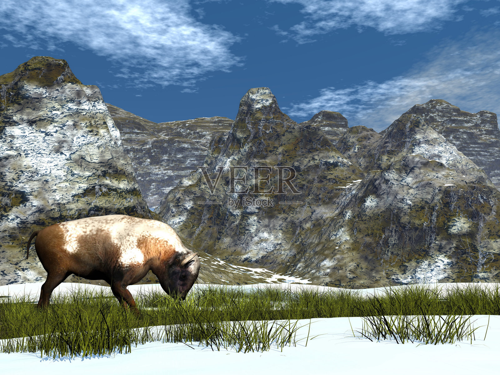 山中的野牛- 3D渲染照片摄影图片