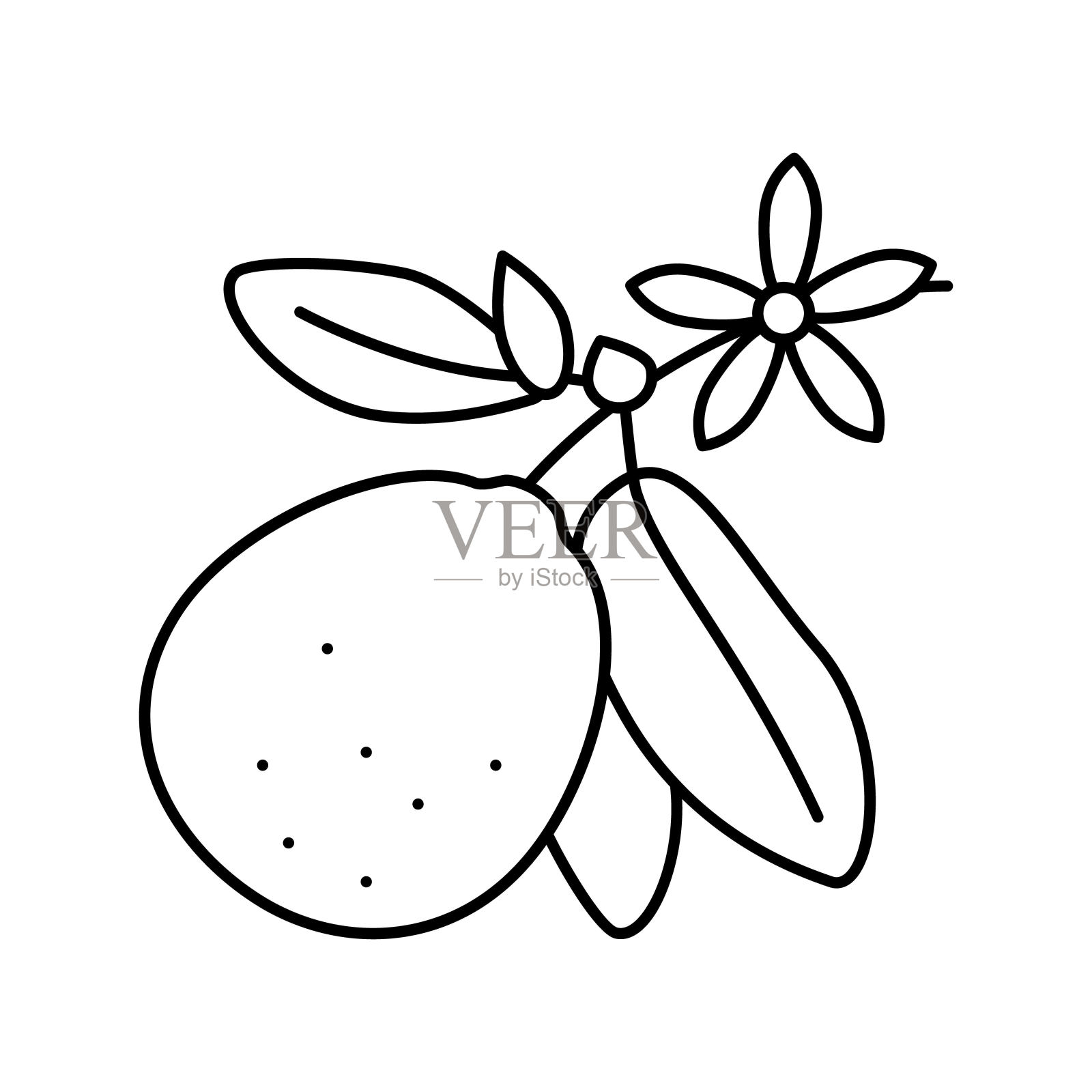 石灰花线图标矢量插图插画图片素材