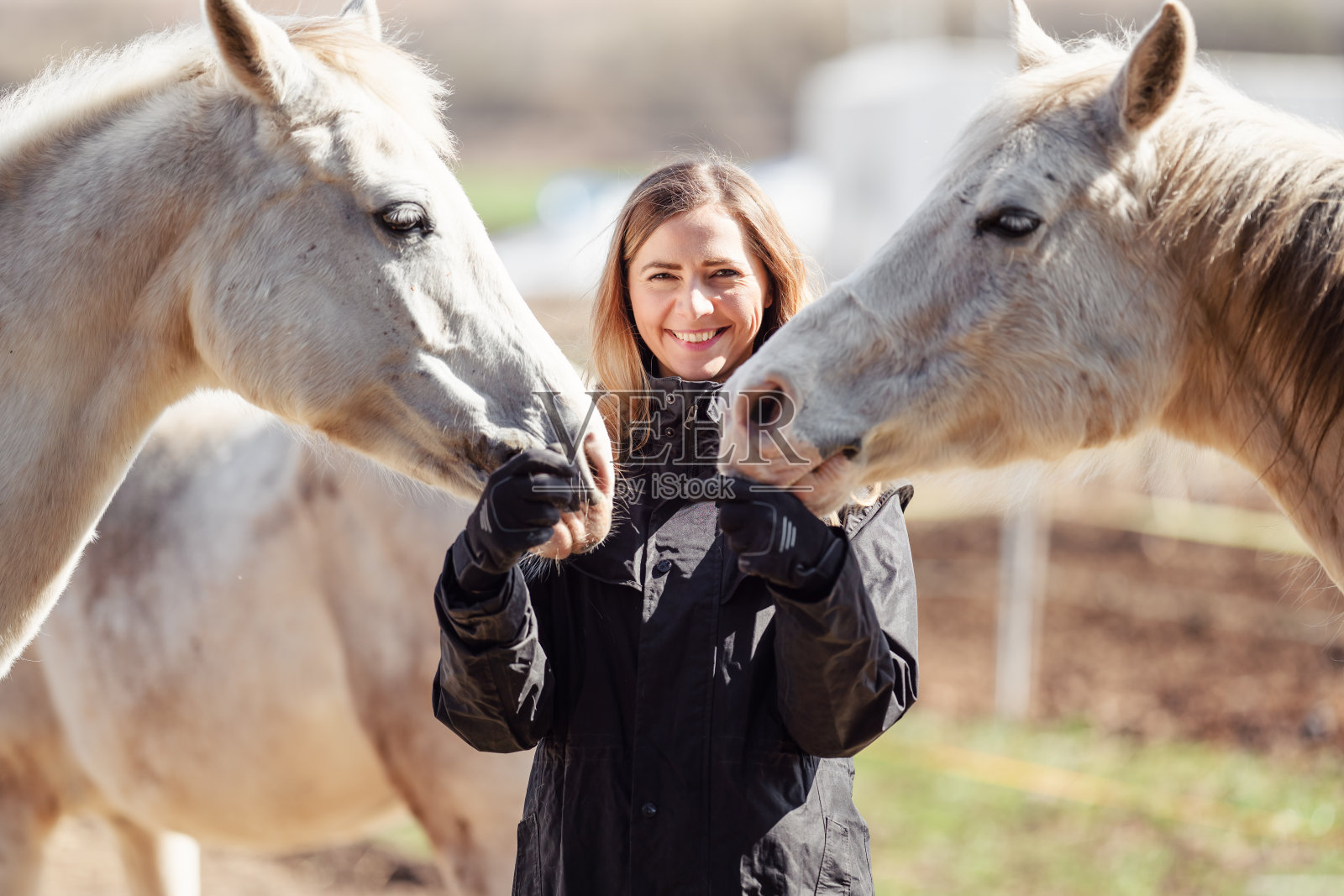 年轻的女子在黑色骑夹克站在附近的白色阿拉伯马微笑快乐，一个在每一边，特写细节照片摄影图片