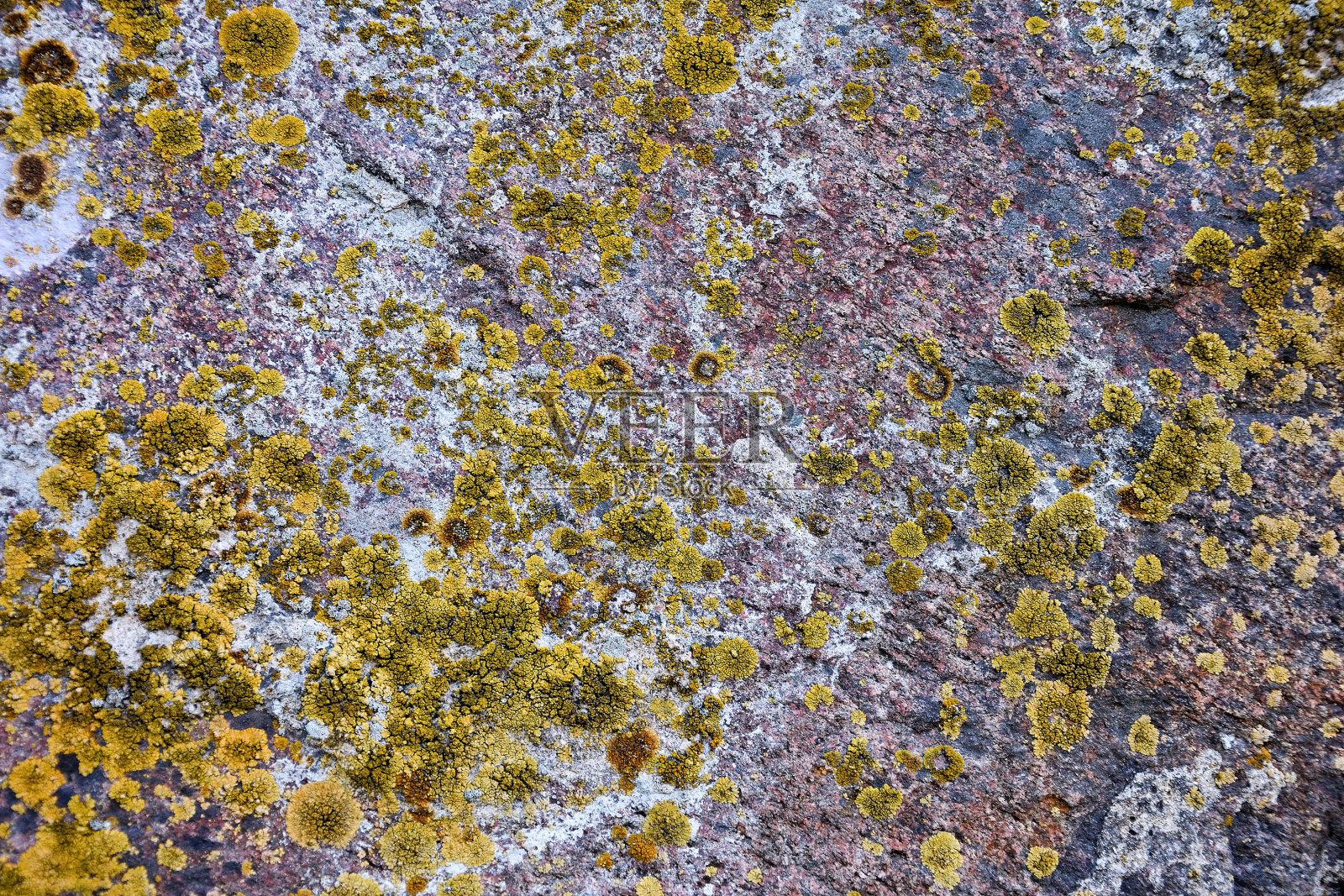 以苔藓为背景的石头照片摄影图片