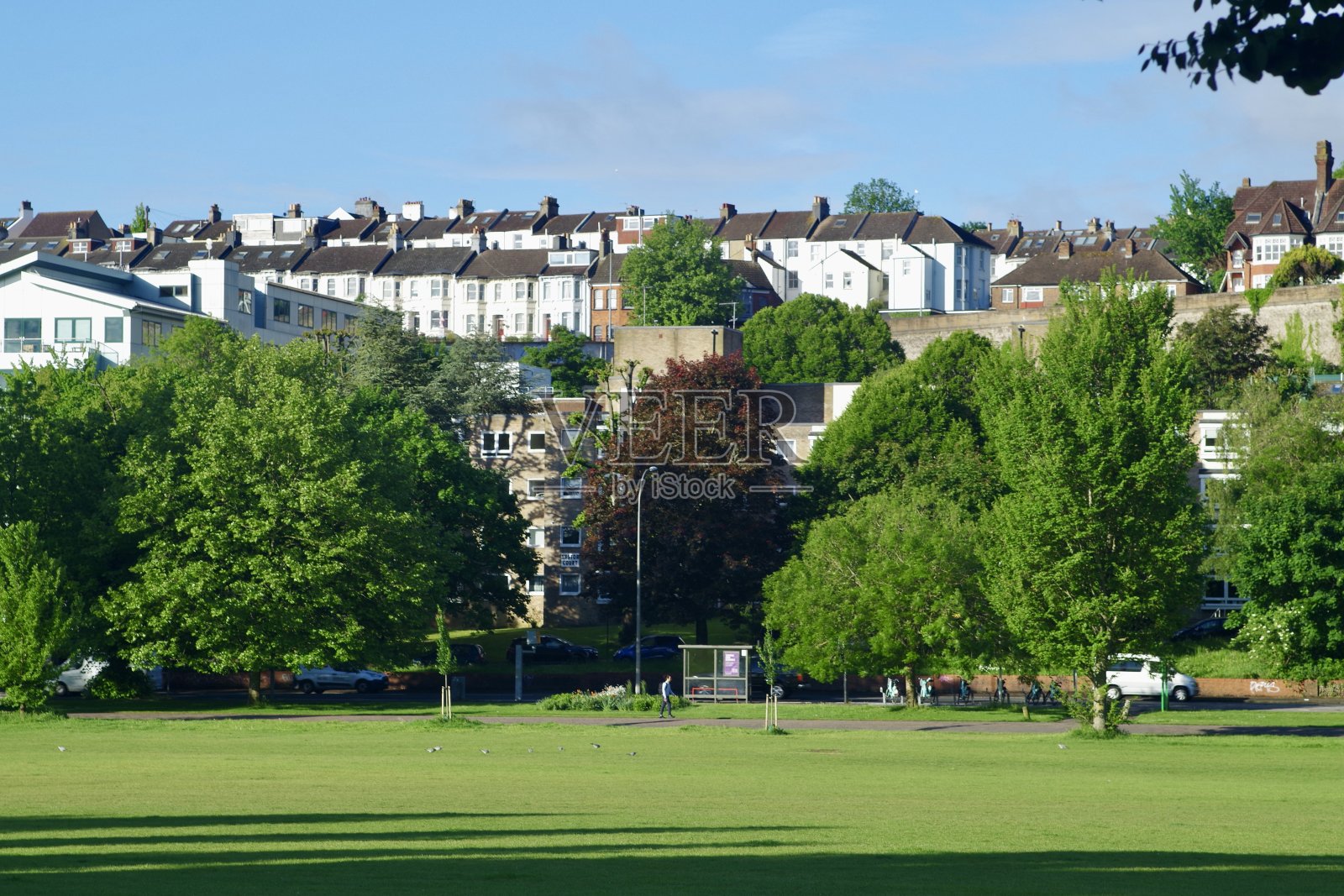 在公园里照片摄影图片