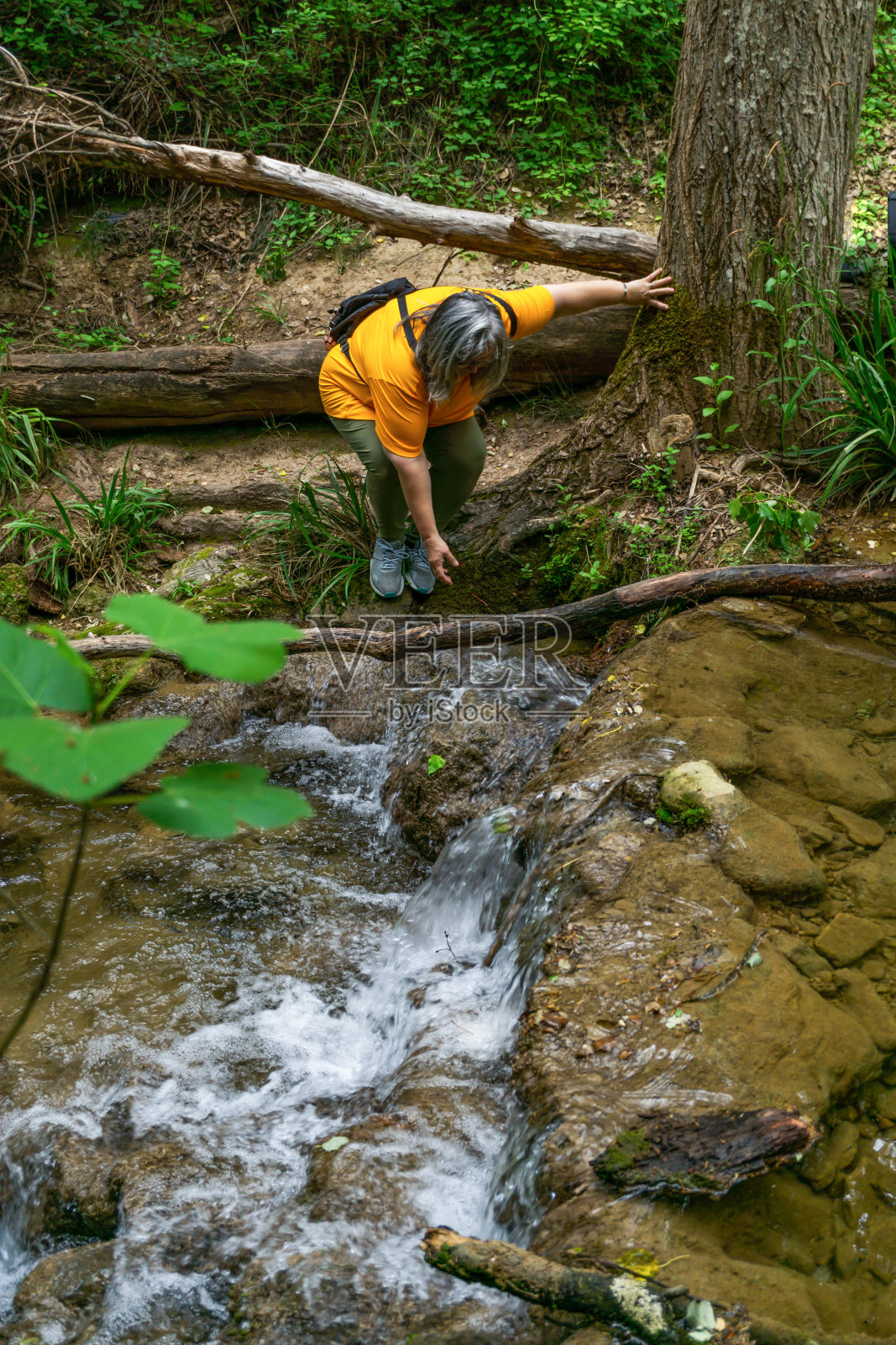 白发苍苍的女人试图喝河中的水照片摄影图片