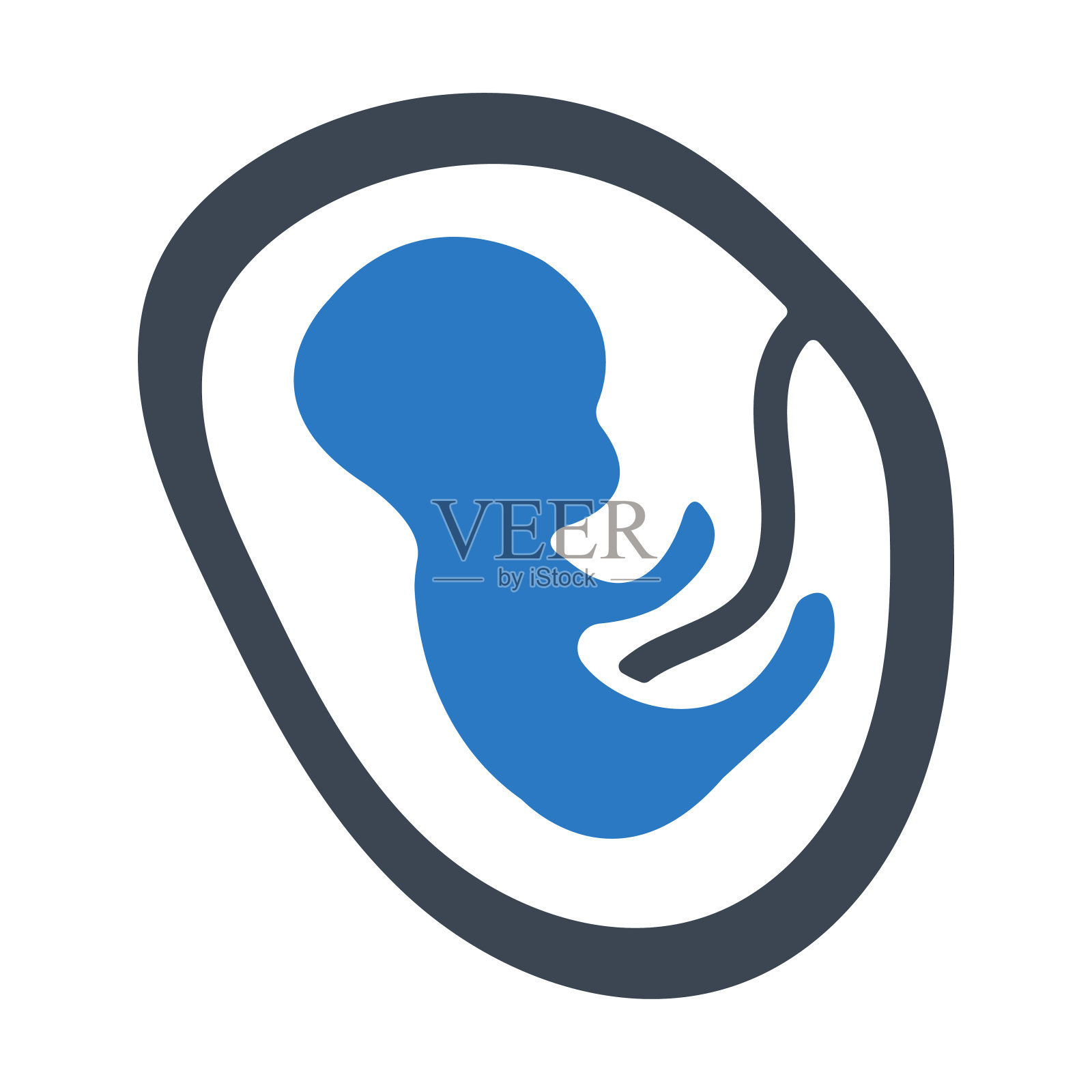 胚胎图标。矢量图形。插画图片素材