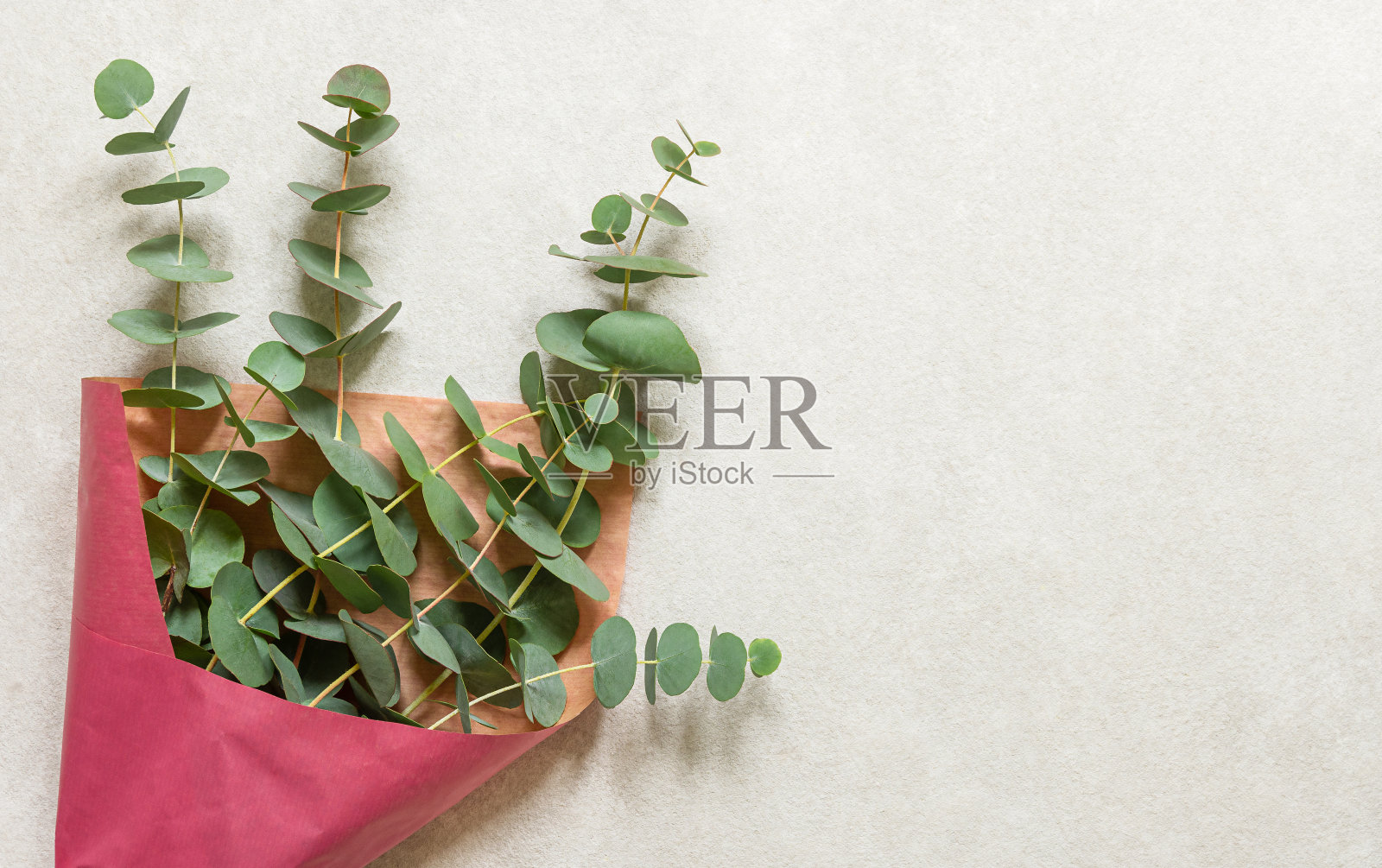 桉树叶在花束浅灰色的背景照片摄影图片