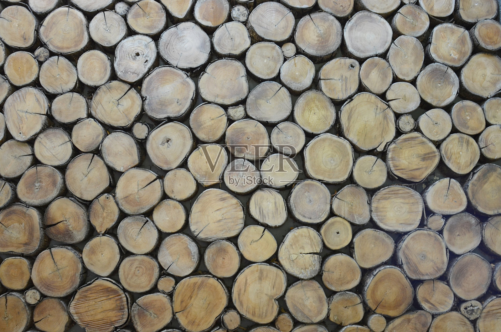 一半的树木制的背景照片摄影图片