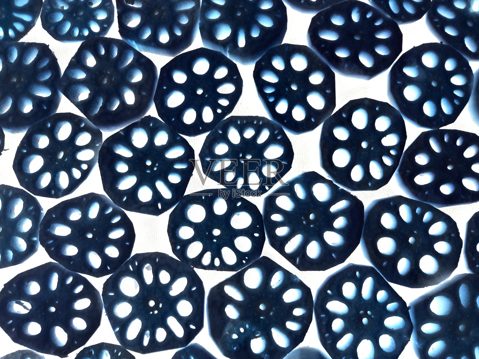 莲藕切片-负像技术。照片摄影图片