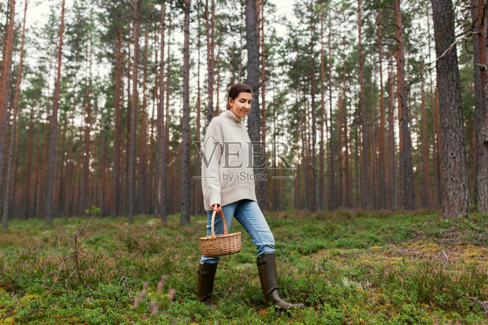 拿着篮子的女人在森林里采蘑菇照片摄影图片