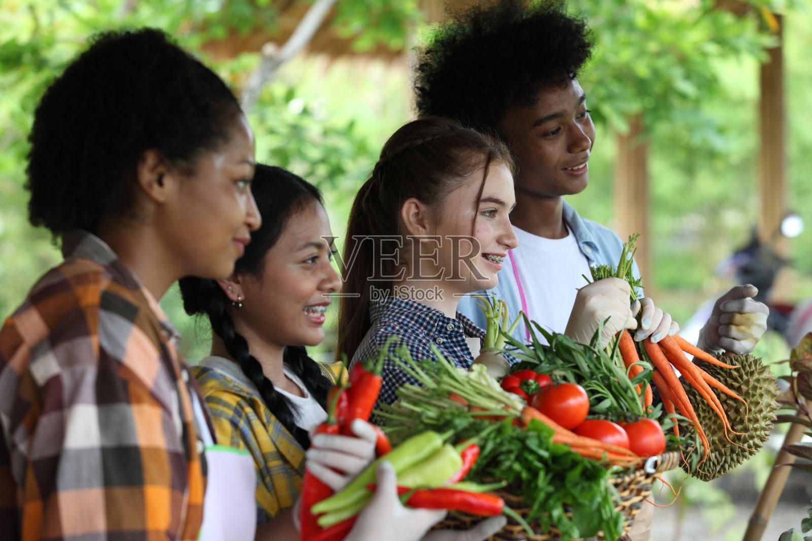 朋友学生在花园学习农民照片摄影图片
