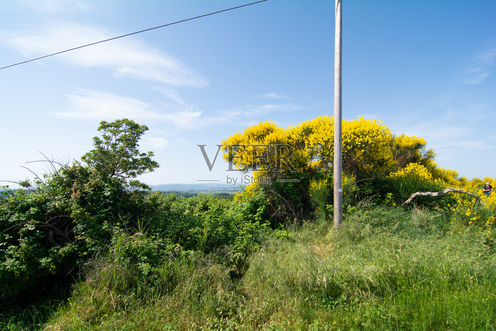 圣巴托罗地区公园马尔切地区照片摄影图片