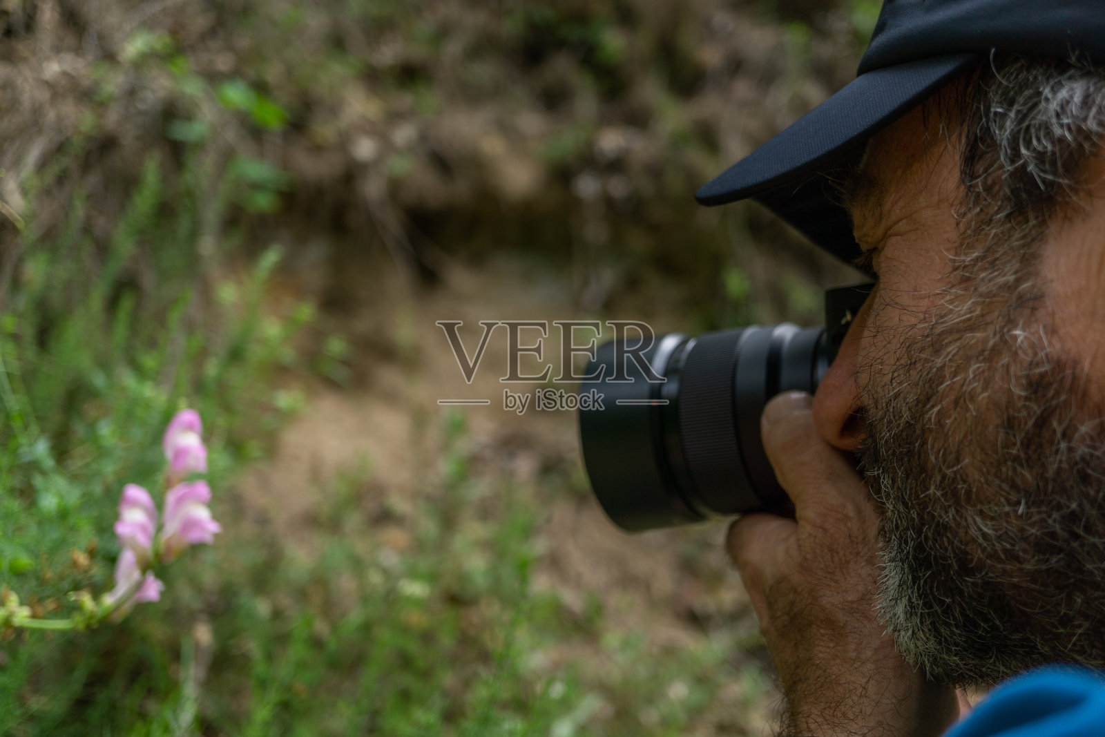 带着胡子和帽子的男人在拍一朵花照片摄影图片
