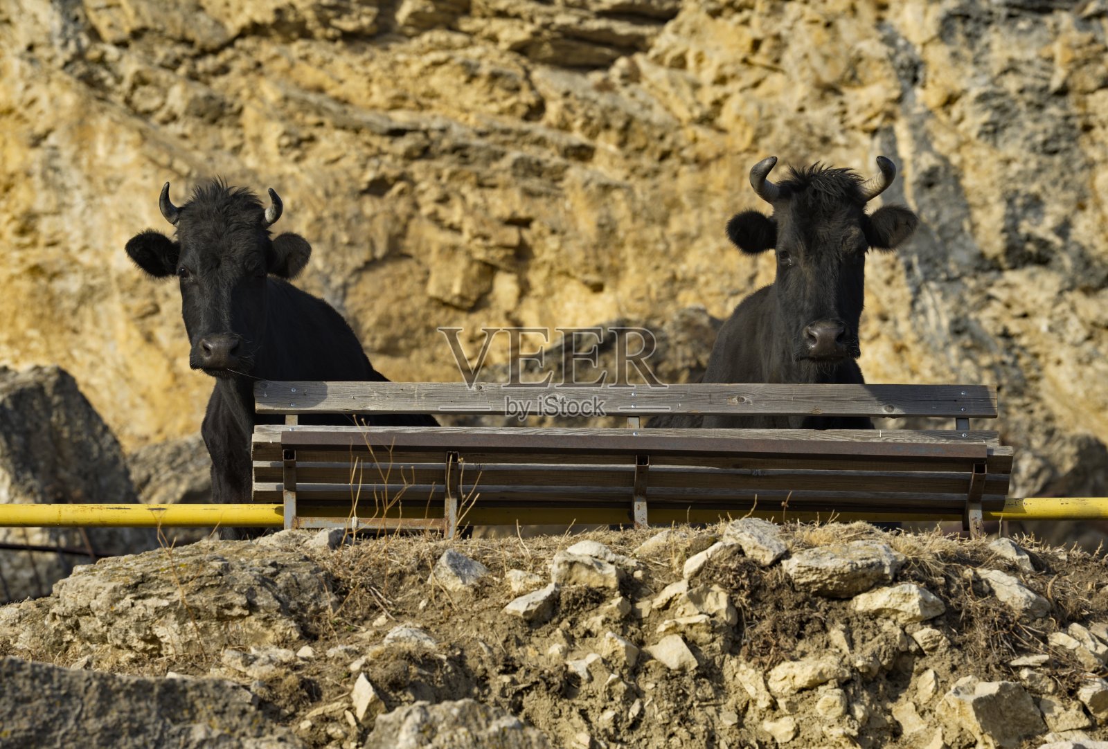 长椅上的聚会照片摄影图片