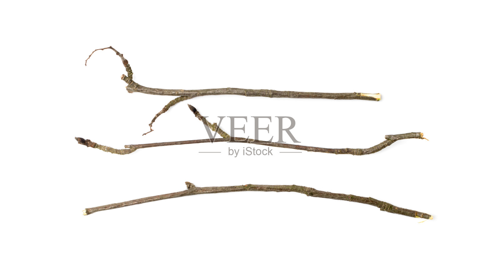 分支机构设置隔离照片摄影图片