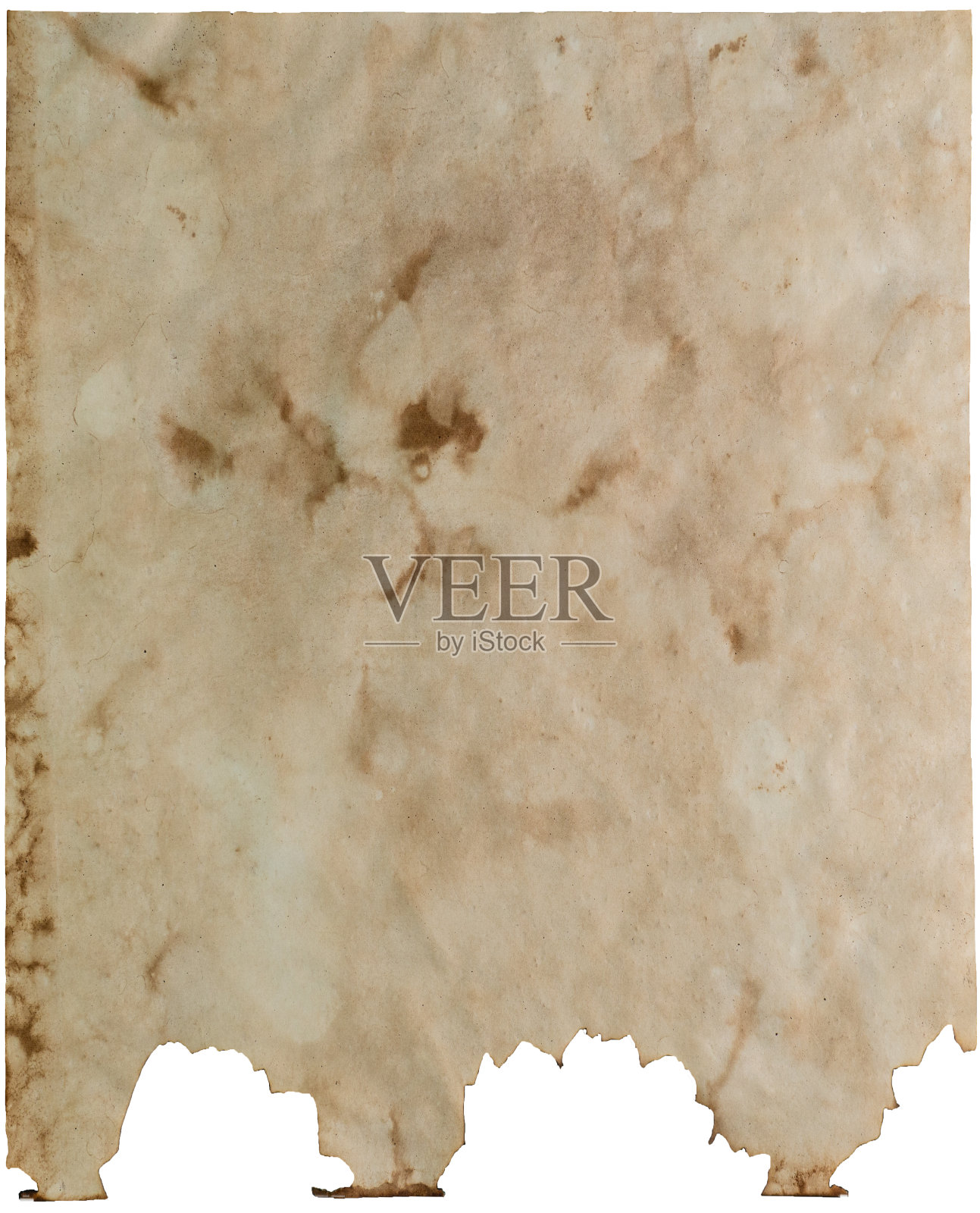 旧纸卷或羊皮纸古纸平，旧纸风化烧纹。用于书法、回忆录、记录和书籍制作的纸张。照片摄影图片