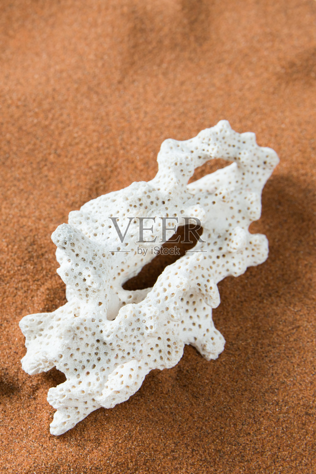 沙滩上被侵蚀的礁石。照片摄影图片