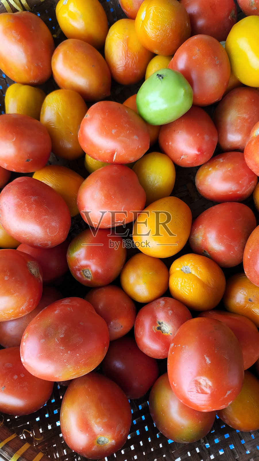 西红柿照片摄影图片