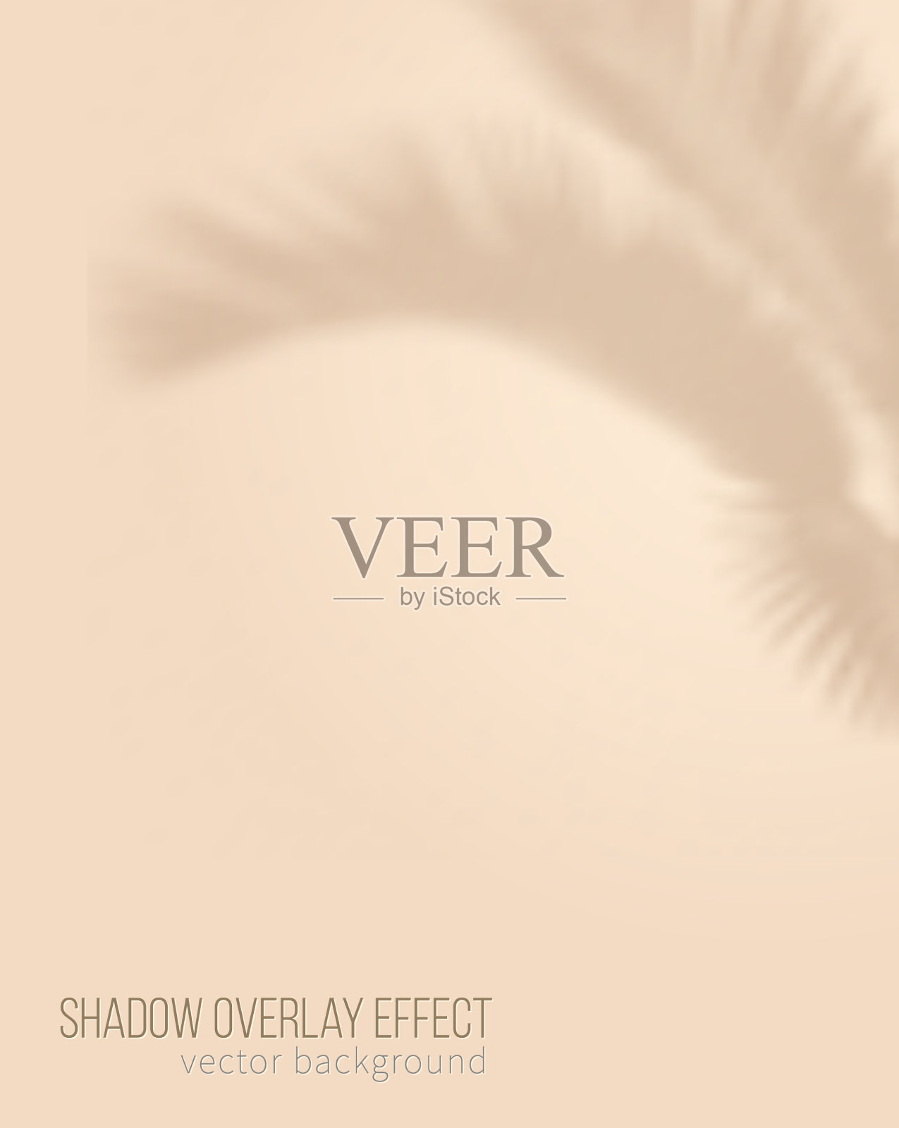 米色背景用于产品展示阴影插画图片素材