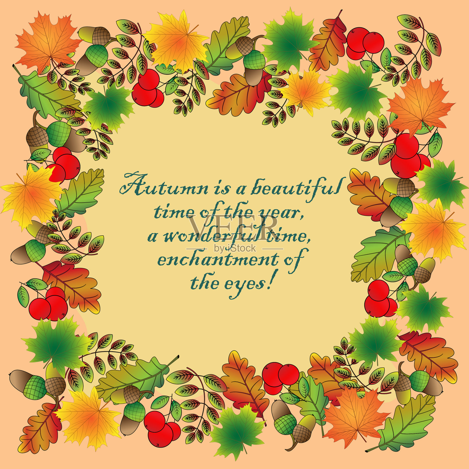 秋天的框架与森林植物的元素插画图片素材