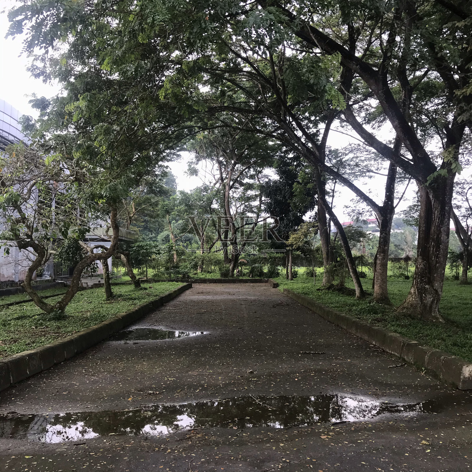 自然照片摄影图片