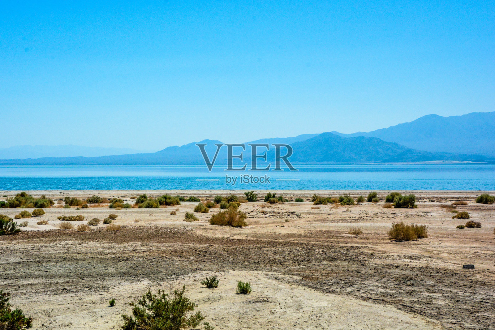 被遗弃的海滩索尔顿海照片摄影图片