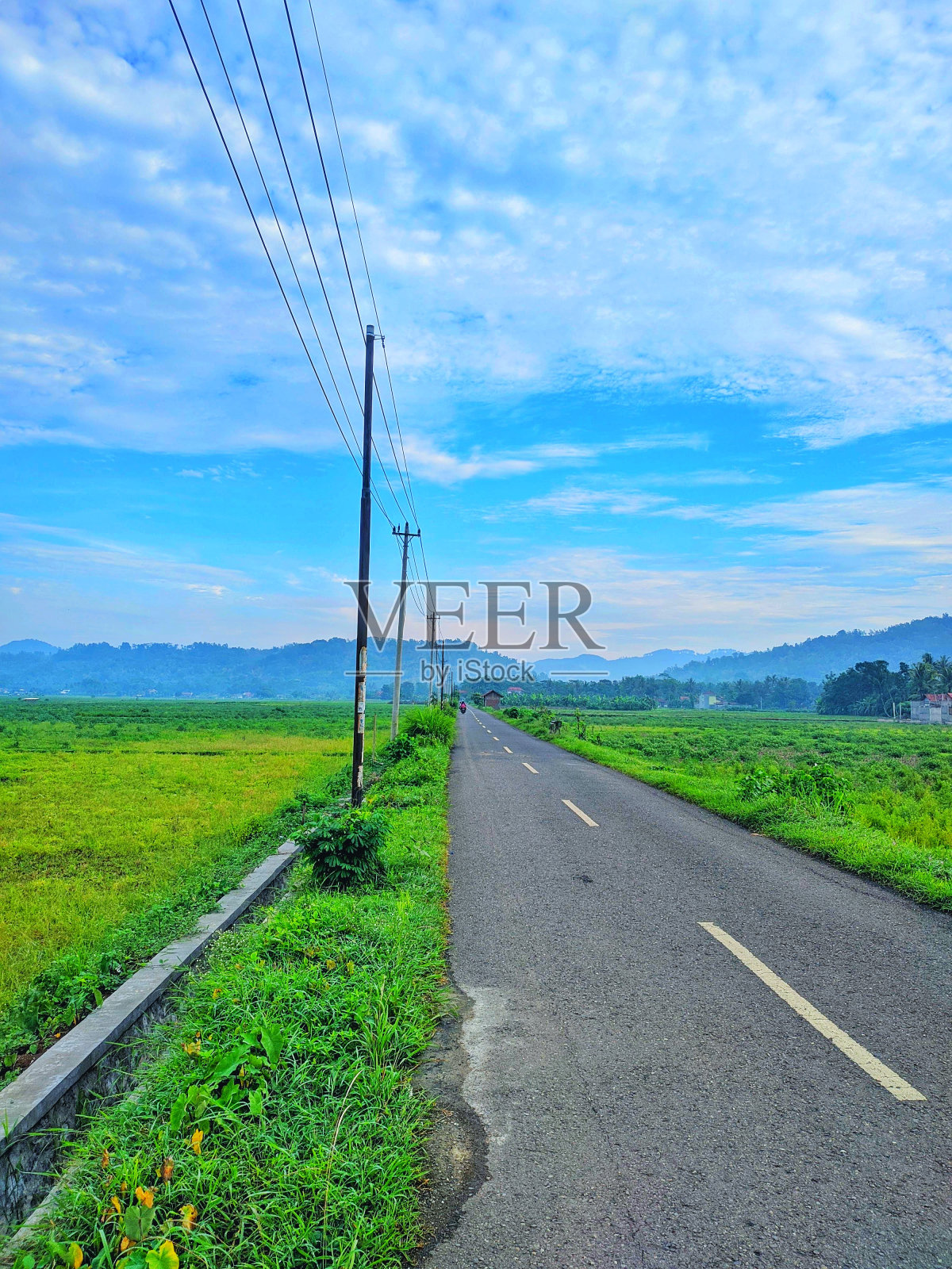 村里的路照片摄影图片