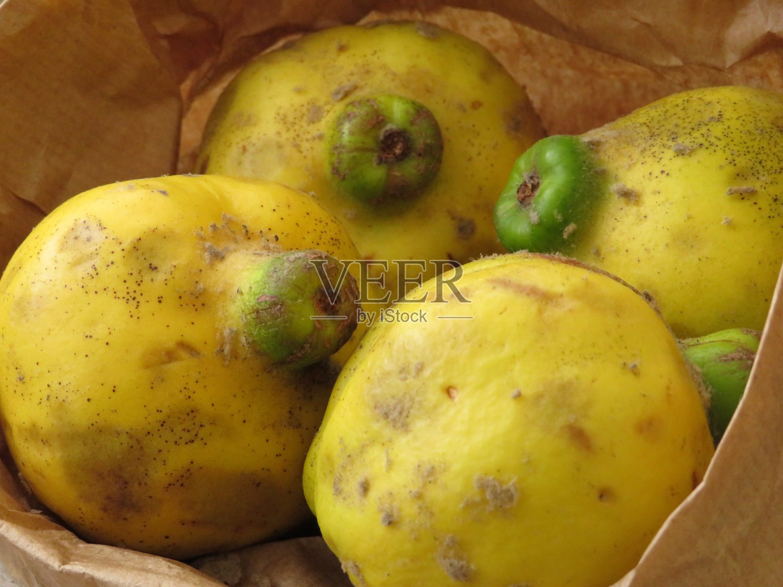 纸袋木瓜2照片摄影图片