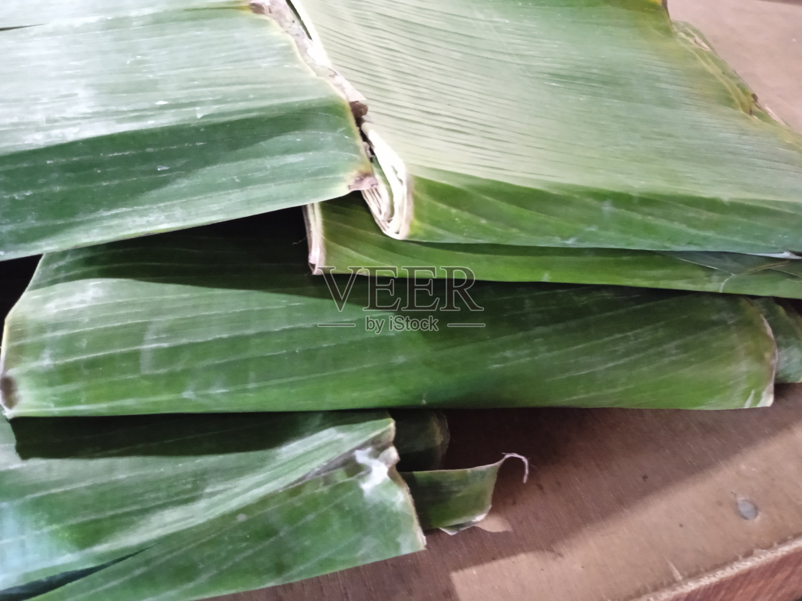 香蕉叶子照片摄影图片