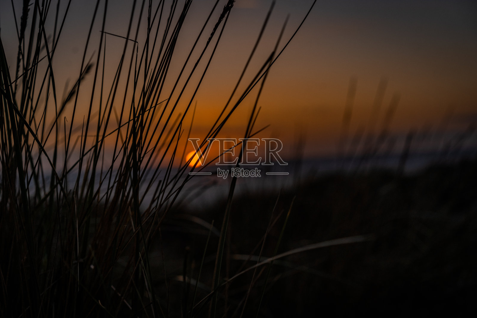旅行照片摄影图片