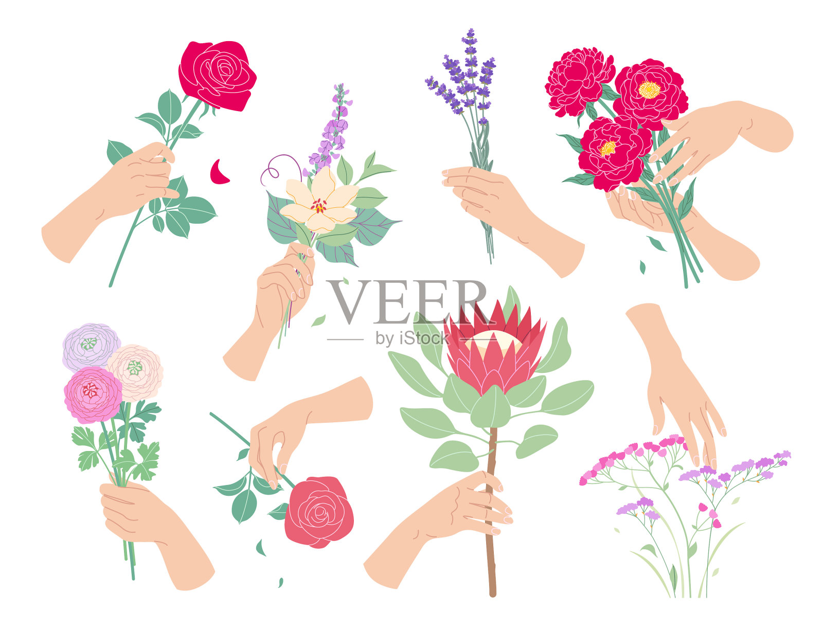 用女性的手和花组成的花卉插画图片素材