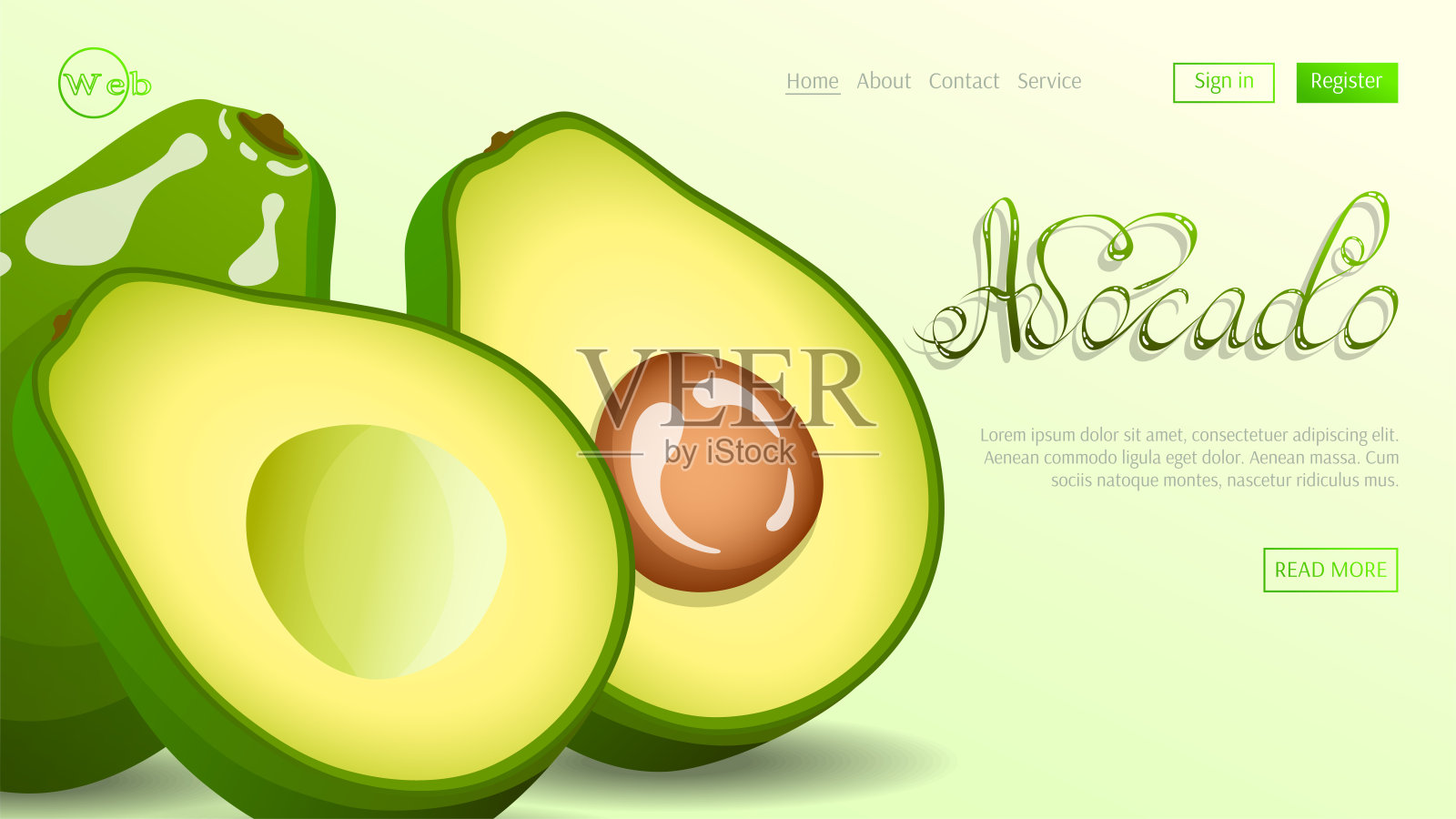 鳄梨。牛油果和切好的牛油果。插画图片素材