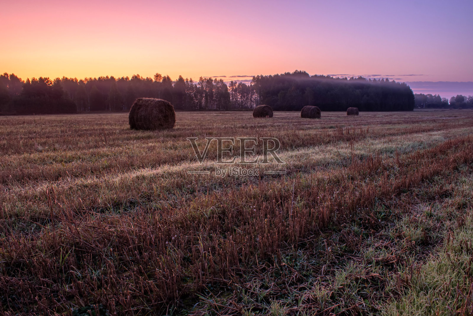 干草在日出的背景下滚动在草地上。照片摄影图片