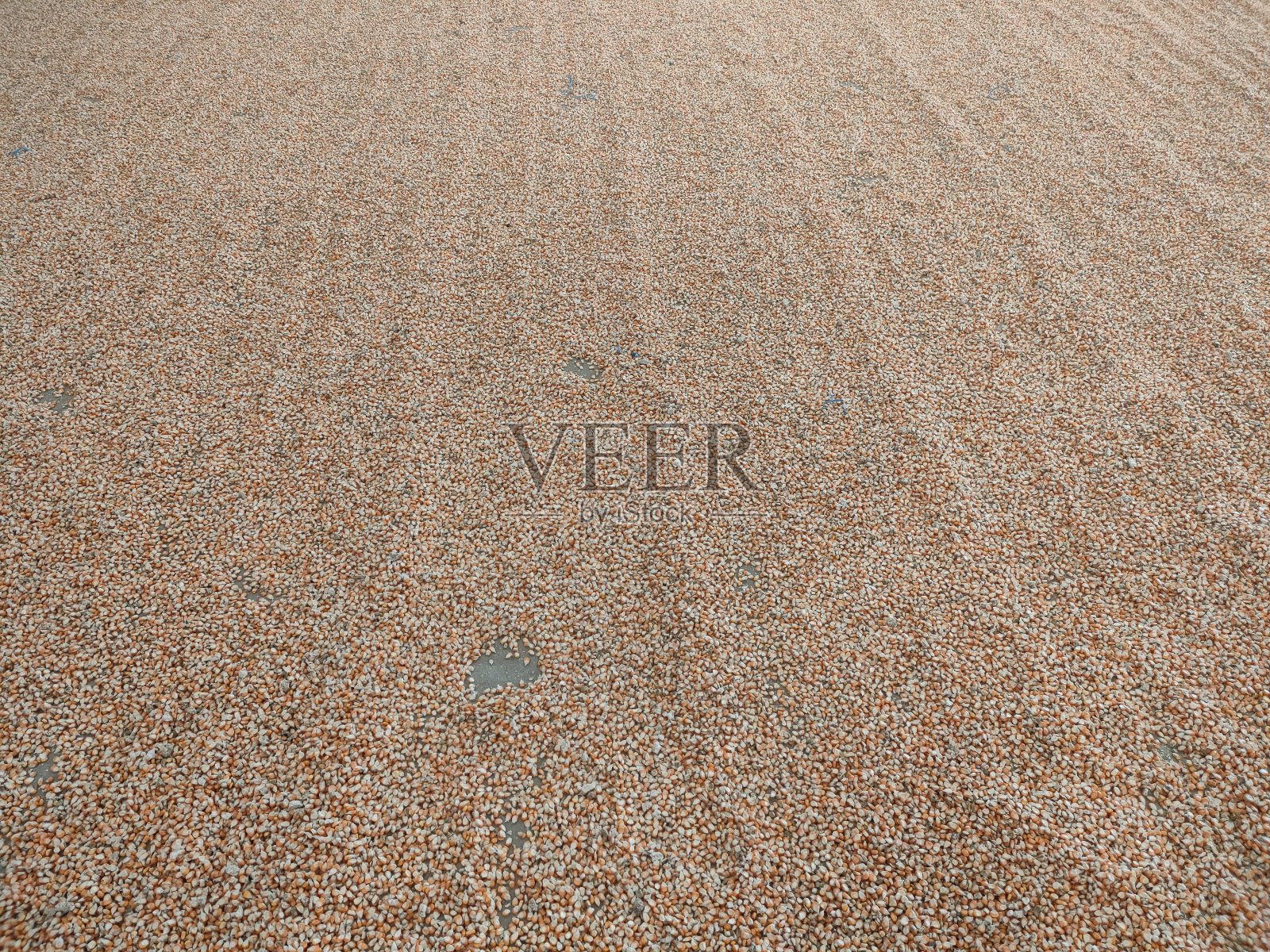 堆叠的黄色玉米粒照片摄影图片