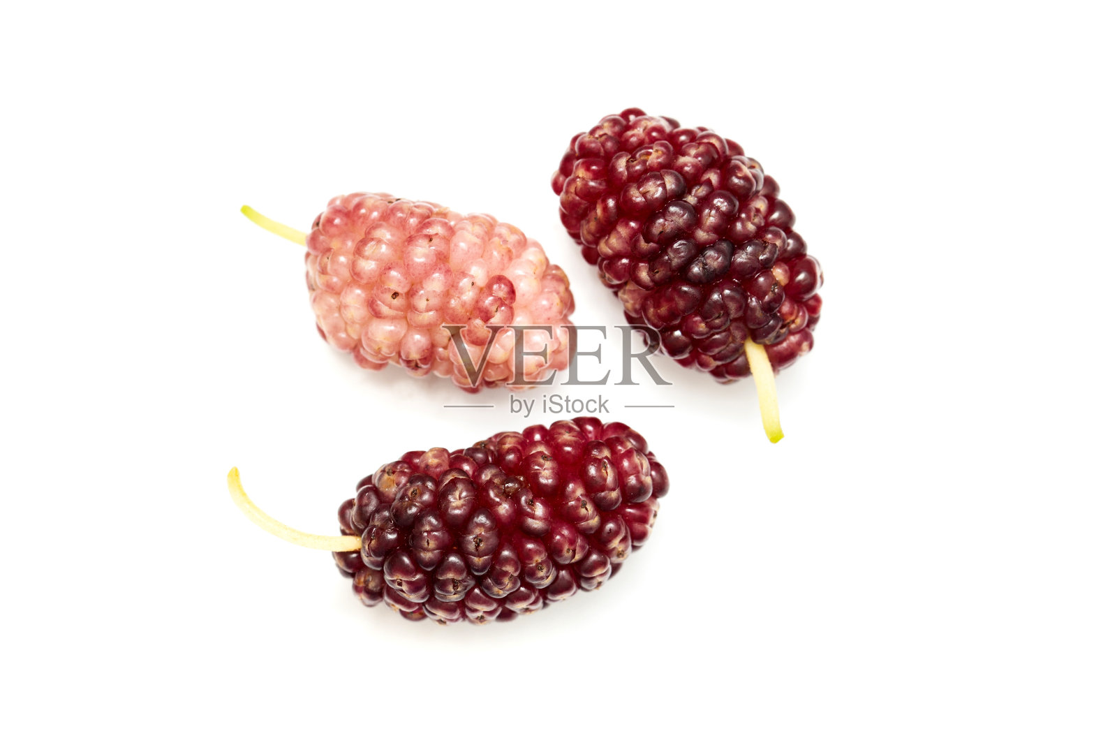 桑葚俯视图，黑色浆果在白色背景照片摄影图片