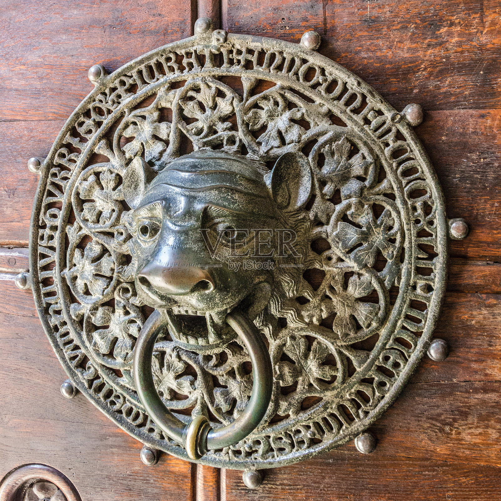 有狮子门环的老式门，汉堡大教堂，德国照片摄影图片