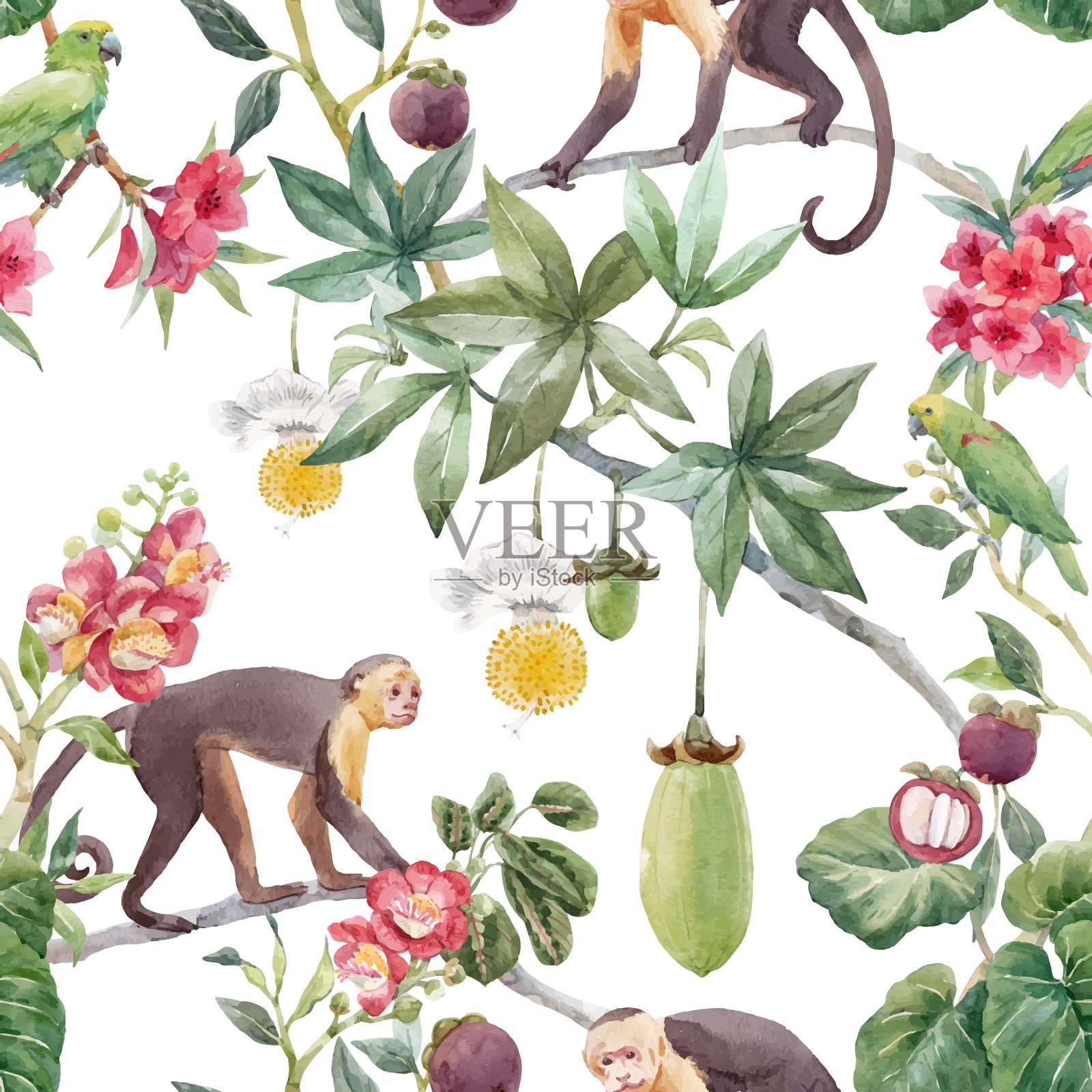 美丽的无缝热带花卉图案插画图片素材