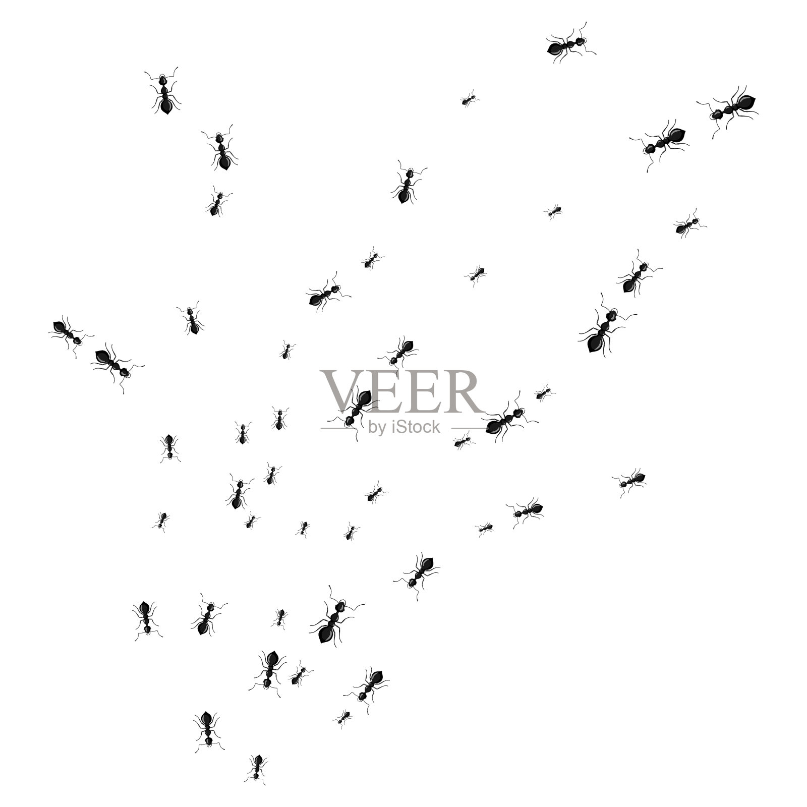 不同大小的蚂蚁行走的轨迹不同插画图片素材