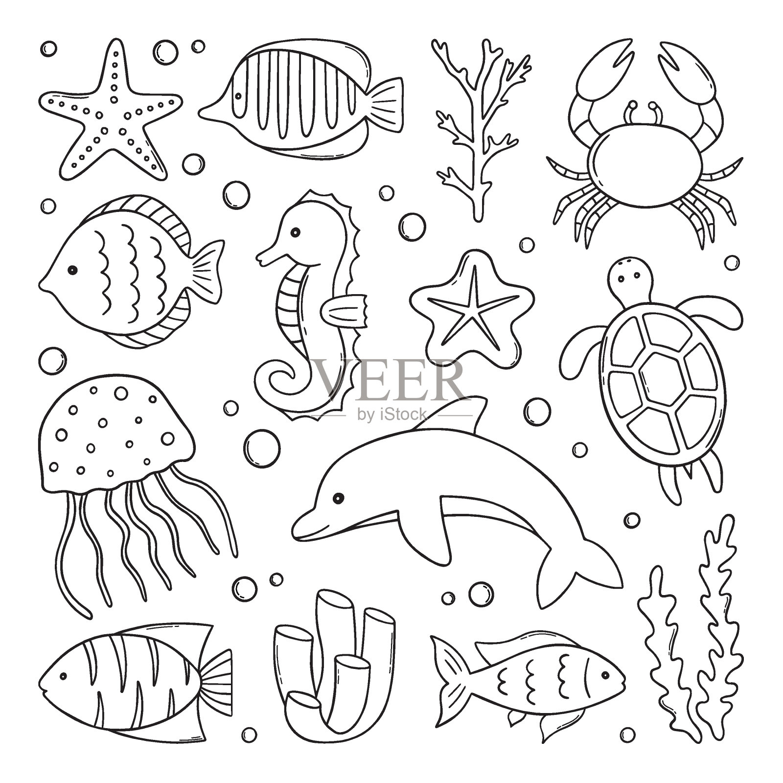 手绘一套鱼和野生海洋动物涂鸦。海洋生物:海龟、海豚、螃蟹、海星、珊瑚、海藻等。矢量插图孤立在白色背景上。插画图片素材