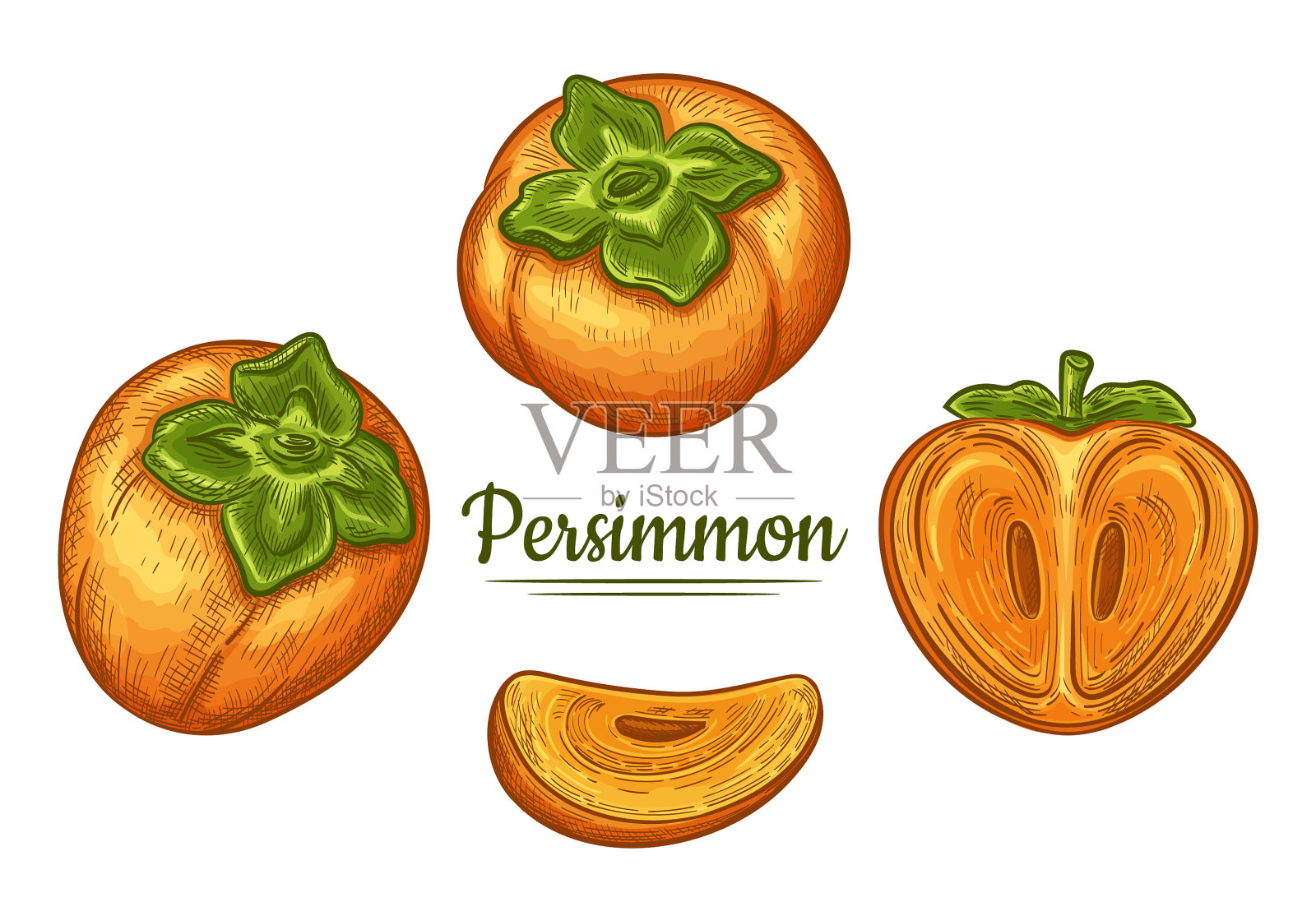 莎伦柿子亚洲水果日本卡其素描插画图片素材