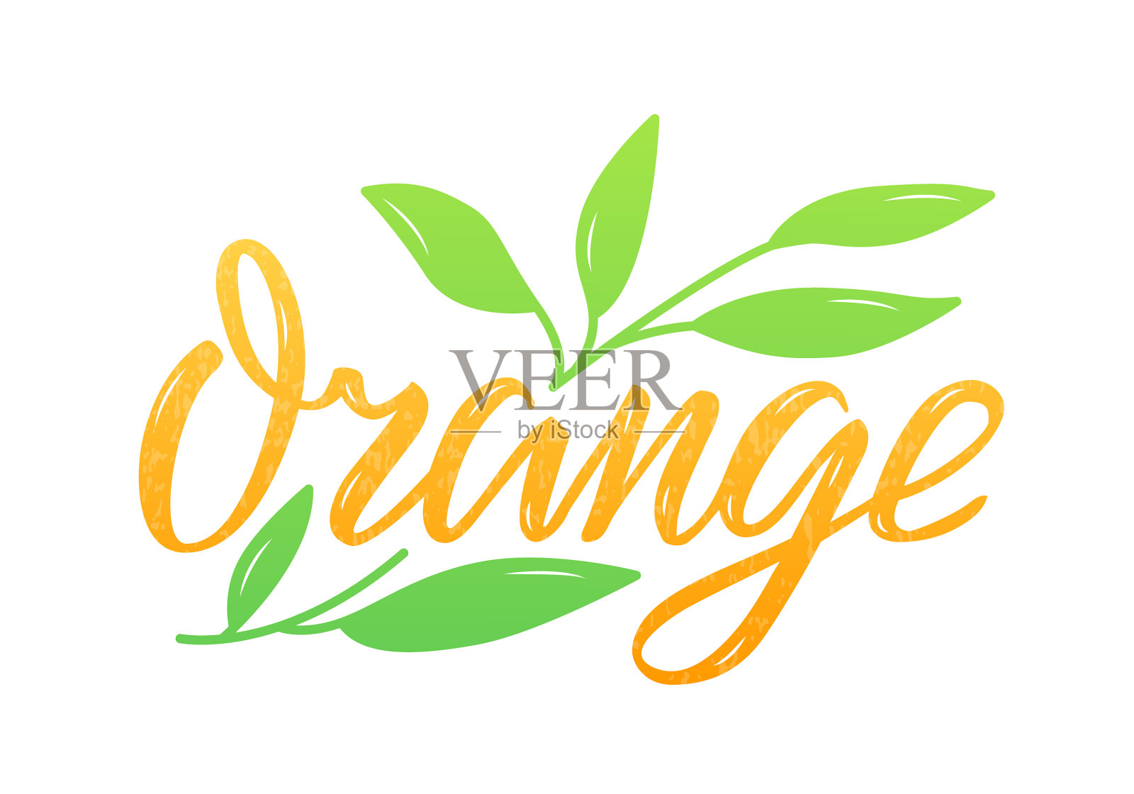 橙色孤立字带有绿色的叶子和纹理设计元素图片