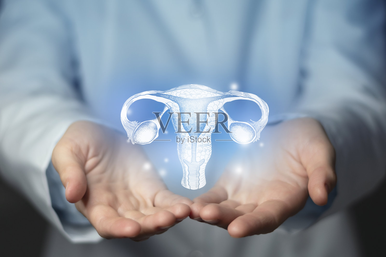 妇科医生，妇科专家。美学手绘突出插图的人类子宫。中性灰色背景，工作室照片和拼贴。照片摄影图片