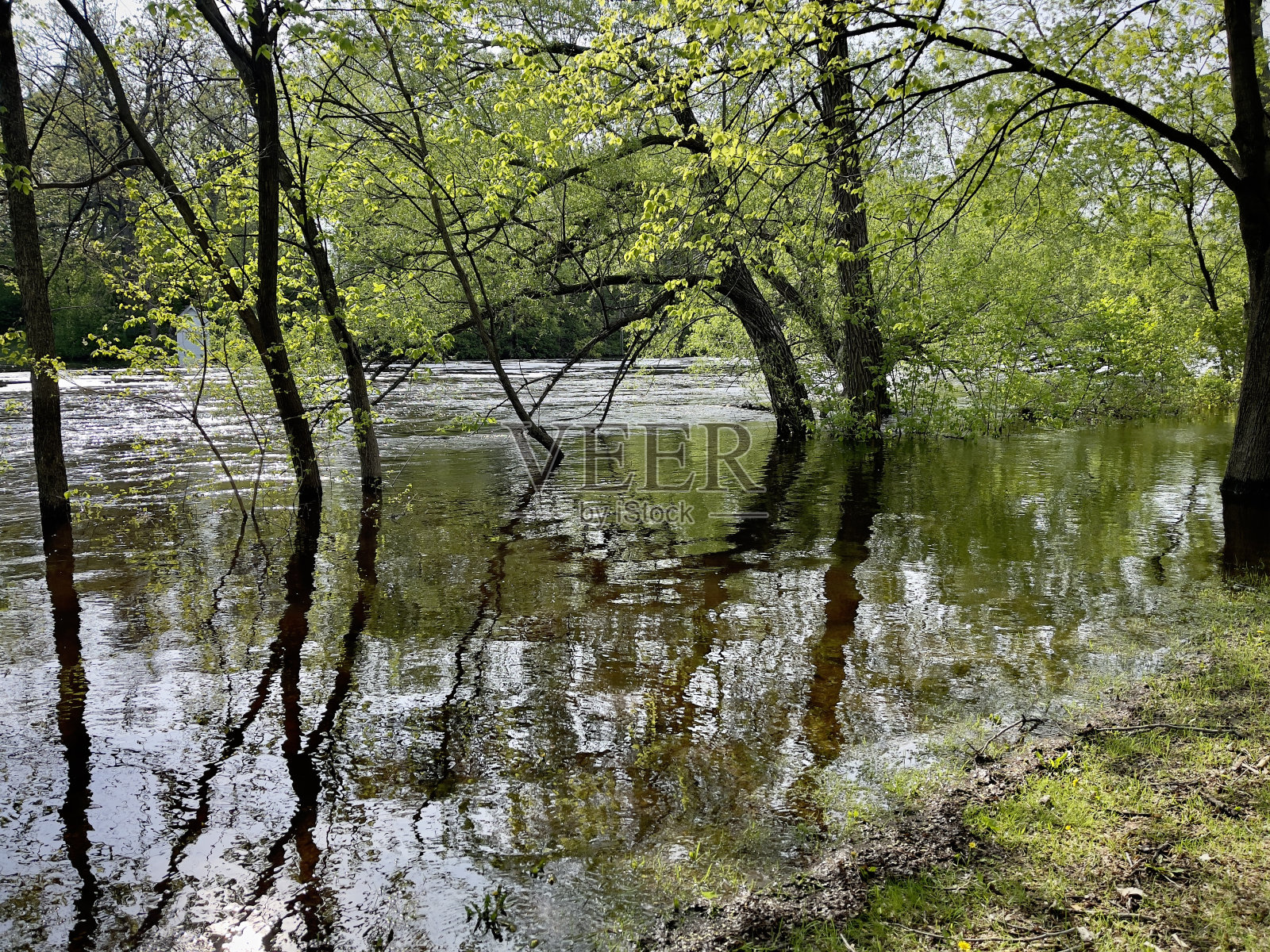 洪水照片摄影图片