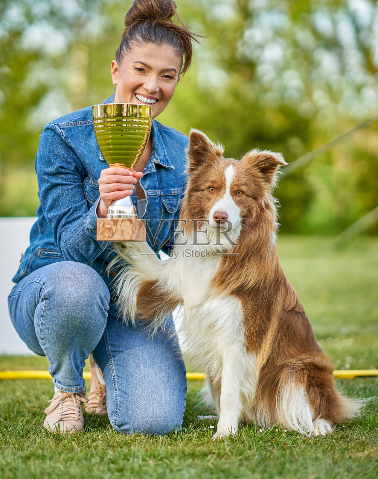巧克力白色边境牧羊犬与女主人照片摄影图片
