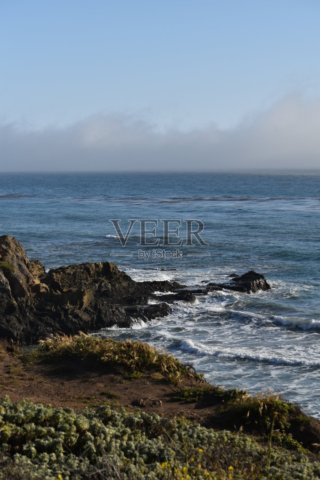太平洋照片摄影图片