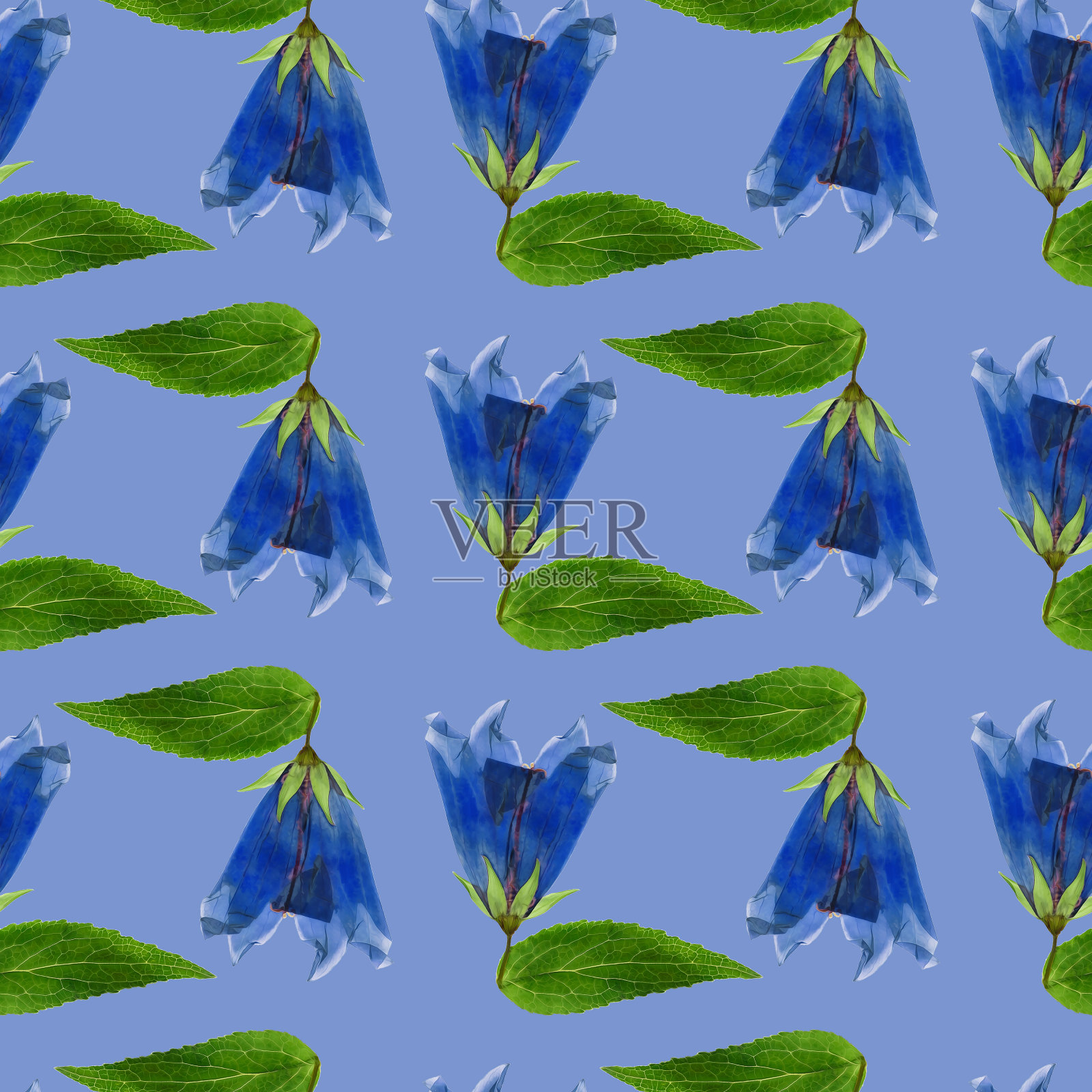 蓝铃,风铃草,风铃草属植物。插图，花的纹理。连续复制的无缝模式。花卉背景，照片拼贴纺织品，棉织物。用于墙纸、封面、印刷品。插画图片素材
